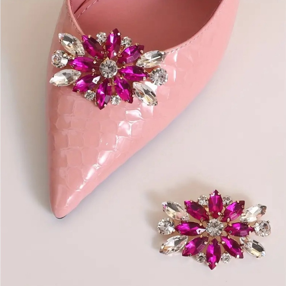 Shoe Clips